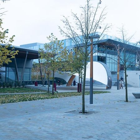 Luxe Apartments Bracknell Near Ascot, Legoland, Windsor, Lexicon - Free Parking & Gym Zewnętrze zdjęcie